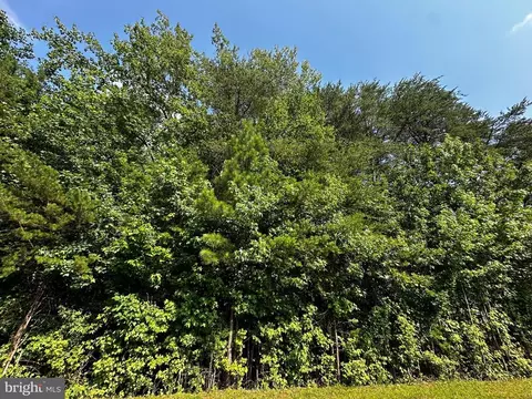 Point Dr, Bumpass, VA 23024 photo 10