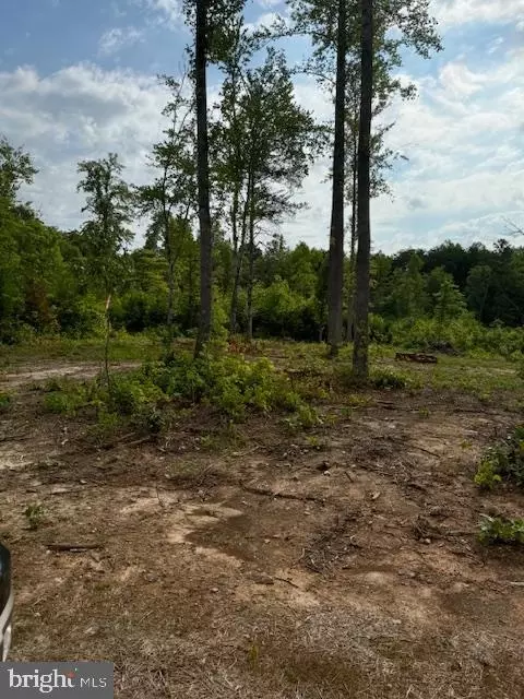 Doctor's Rd., Louisa, VA 23093 photo 3