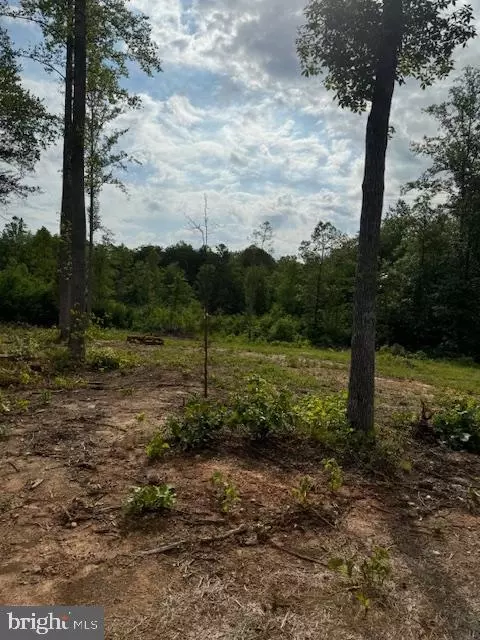 Doctor's Rd., Louisa, VA 23093 photo 4