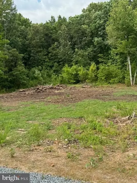Doctor's Rd., Louisa, VA 23093 photo 2