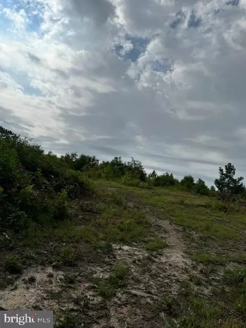 Doctor's Rd., Louisa, VA 23093 photo 5