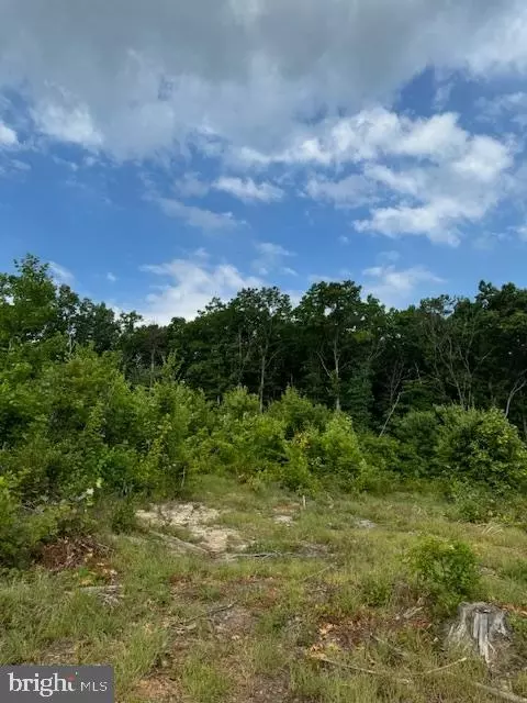 Doctor's Rd., Louisa, VA 23093 photo 3