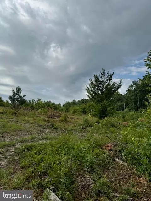 Doctor's Rd., Louisa, VA 23093 photo 3