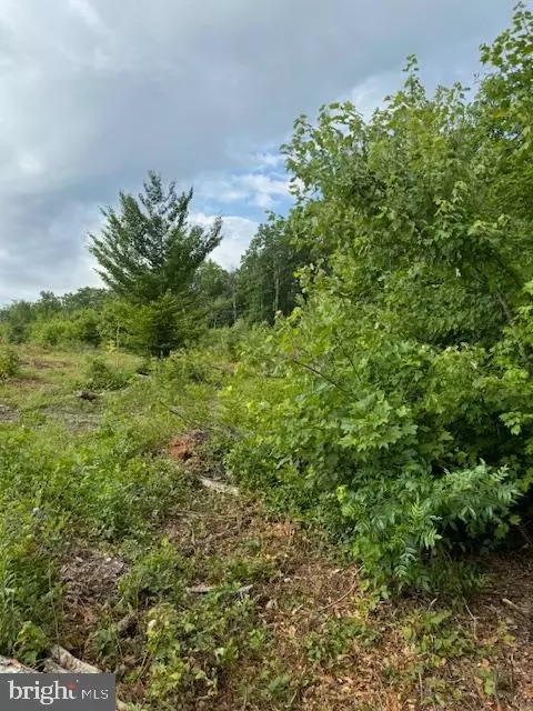 Doctor's Rd., Louisa, VA 23093 photo 2