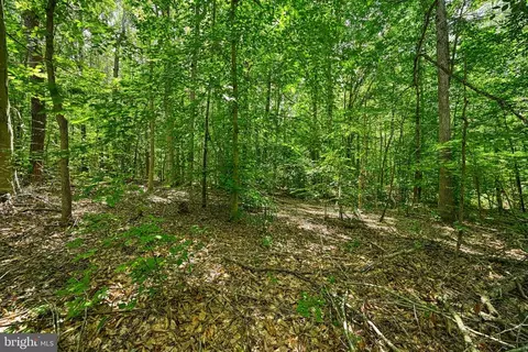 Hickory Ln, Bumpass, VA 23024 photo 21