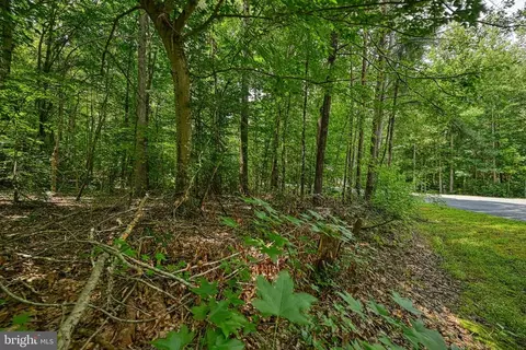 Hickory Ln, Bumpass, VA 23024 photo 20