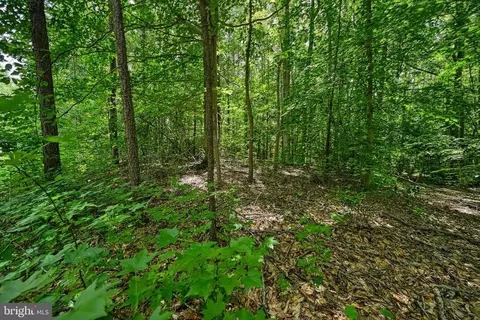 Hickory Ln, Bumpass, VA 23024 photo 19