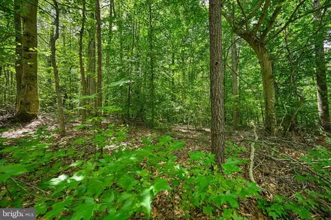 Hickory Ln, Bumpass, VA 23024 photo 18