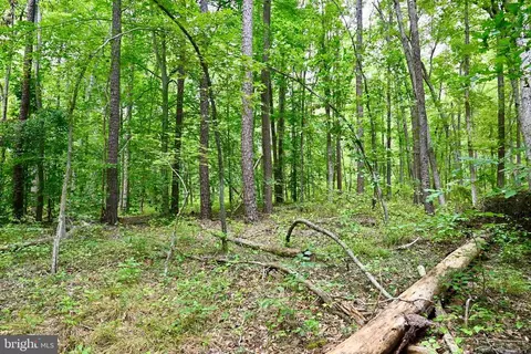 Foxbrook Ln, Louisa, VA 23093 photo 19