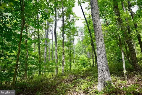 Foxbrook Ln, Louisa, VA 23093 photo 22