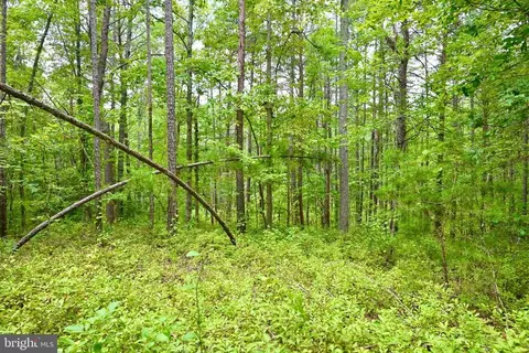 Foxbrook Ln, Louisa, VA 23093 photo 23