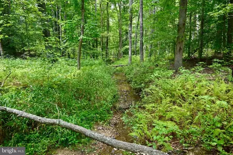 Foxbrook Ln, Louisa, VA 23093 photo 17