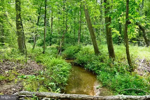 Foxbrook Ln, Louisa, VA 23093 photo 14