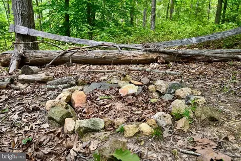 Foxbrook Ln, Louisa, VA 23093 photo 11