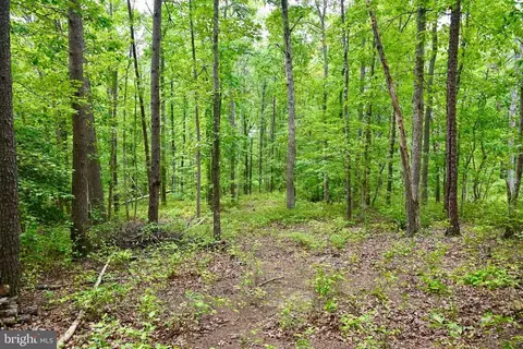 Foxbrook Ln, Louisa, VA 23093 photo 12