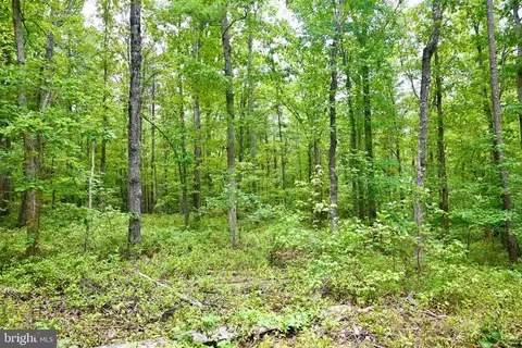 Foxbrook Ln, Louisa, VA 23093 photo 24