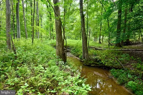 Foxbrook Ln, Louisa, VA 23093 photo 13