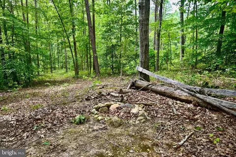 Foxbrook Ln, Louisa, VA 23093 photo 10