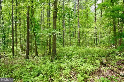 Foxbrook Ln, Louisa, VA 23093 photo 18