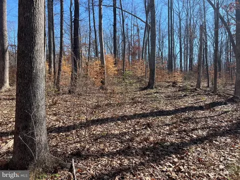 Lighthouse Drive, Bumpass, VA 23024 photo 8
