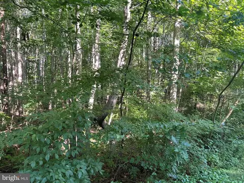 Overton Dr, Bumpass, VA 23024 photo 3