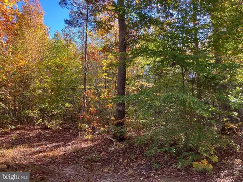 Lighthouse Dr, Bumpass, VA 23024 photo 21