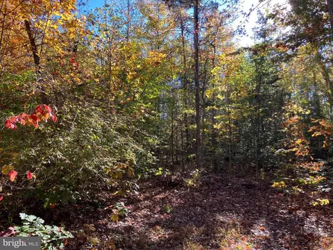 Lighthouse Dr, Bumpass, VA 23024 photo 22
