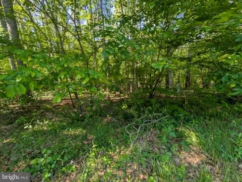 Belmont Ln, Louisa, VA 23093