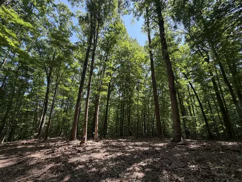 Parrish Rd, Louisa, VA 23093 photo 3