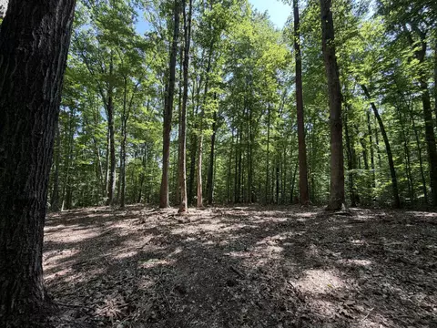 Parrish Rd, Louisa, VA 23093 photo 2