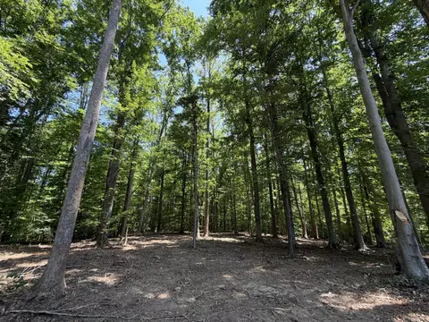 Parrish Rd, Louisa, VA 23093 photo 8