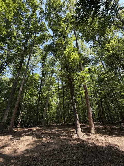 Parrish Rd, Louisa, VA 23093 photo 10