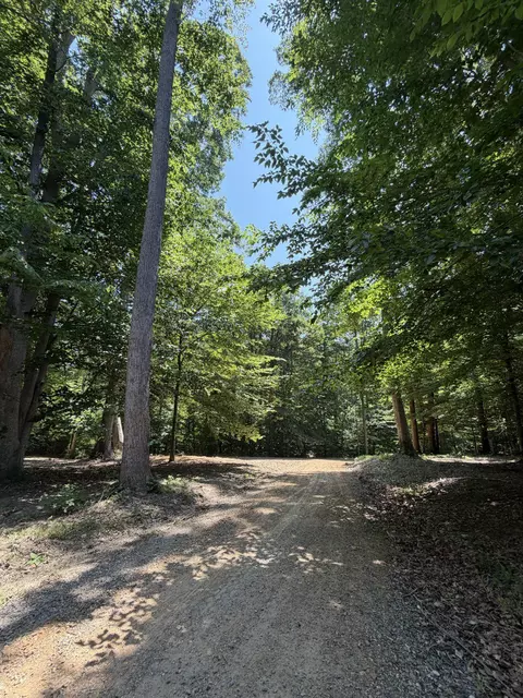 Parrish Rd, Louisa, VA 23093 photo 7
