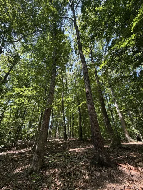 Parrish Rd, Louisa, VA 23093 photo 6