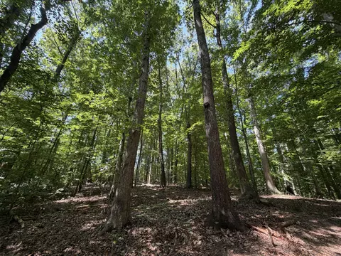 Parrish Rd, Louisa, VA 23093 photo 5