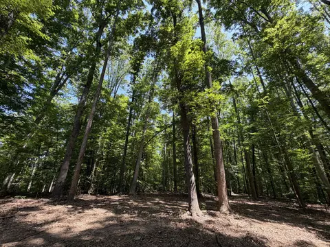 Parrish Rd, Louisa, VA 23093 photo 9