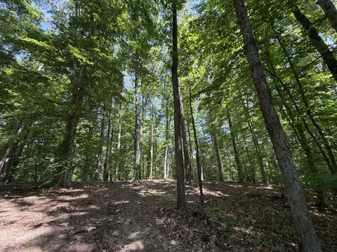 Parrish Rd, Louisa, VA 23093 photo 4