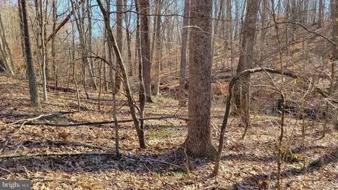 Ruth Rd, Madison, VA 22727 photo 6