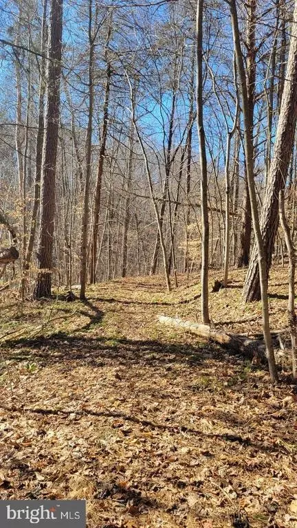 Ruth Rd, Madison, VA 22727 photo 10