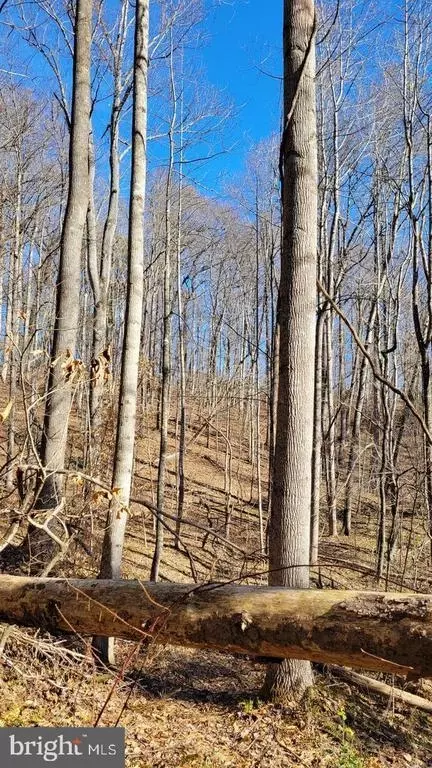 Ruth Rd, Madison, VA 22727 photo 7