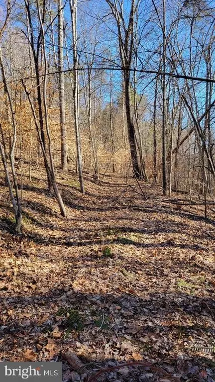 Ruth Rd, Madison, VA 22727 photo 5
