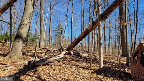 Ruth Rd, Madison, VA 22727 photo 8