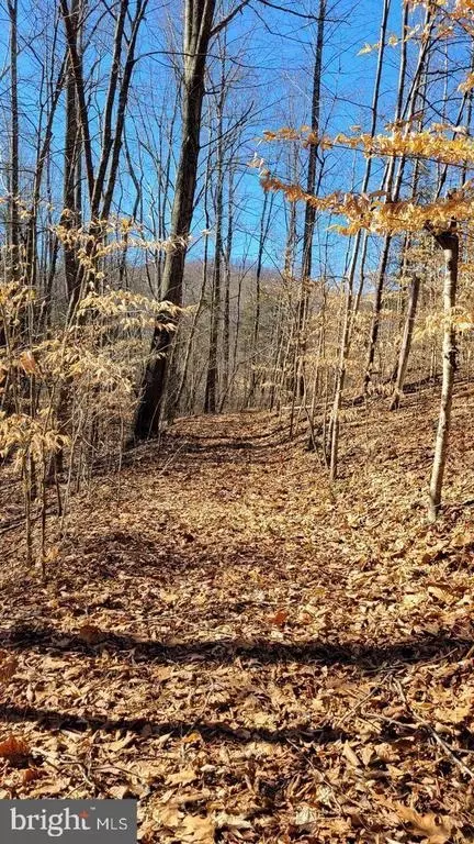 Ruth Rd, Madison, VA 22727 photo 11