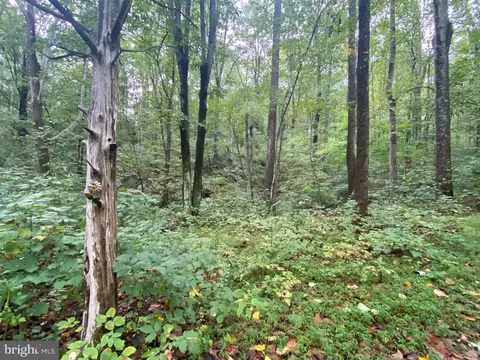 Chimney Hollow Road, Syria, VA 22743