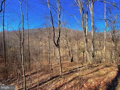 Etlan Rd, Etlan, VA 22719 photo 36