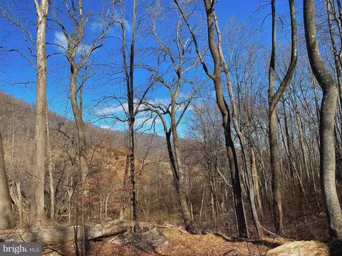 Etlan Rd, Etlan, VA 22719 photo 21