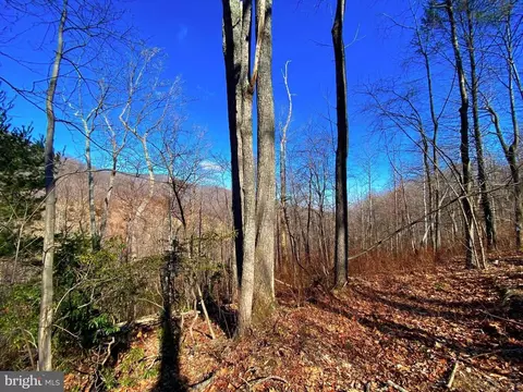 Etlan Rd, Etlan, VA 22719 photo 40