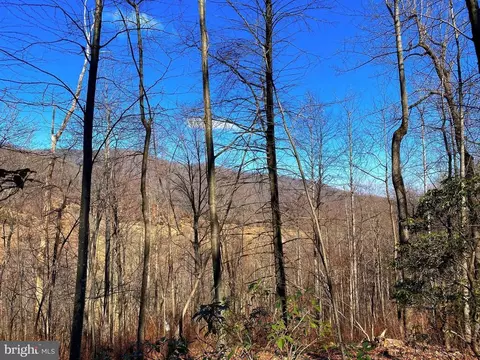 Etlan Rd, Etlan, VA 22719 photo 39