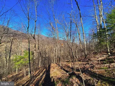 Etlan Rd, Etlan, VA 22719 photo 27