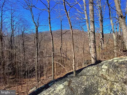 Etlan Rd, Etlan, VA 22719 photo 31